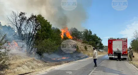 Снимка: БТА