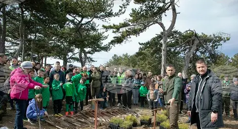 Снимка: БТА