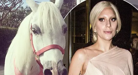Лейди Гага получи пони за Коледа 