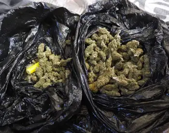 Над 1,3 килограма марихуана и метамфетамин задържани при разбиване не наркосхема в Русе