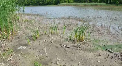 Преливникът на езерото в Николово тече, но водата не се източвала