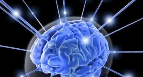 Ключ в мозъка казва кога организмът да заспи