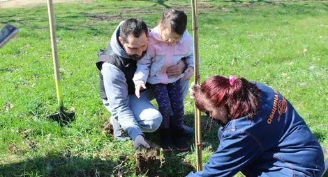 Русенци засадиха млади дръвчета в кв. &ldquo;Дружба 1&rdquo;
