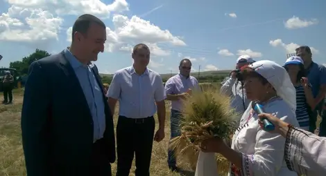 Над 5 милиона тона се очаква да е реколтата от пшеница