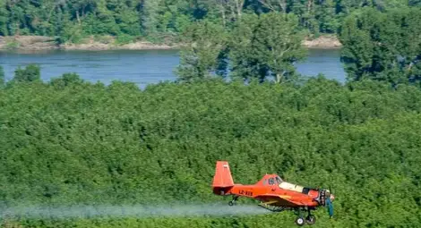 Поръчката за комарите заседна в антимонополната комисия