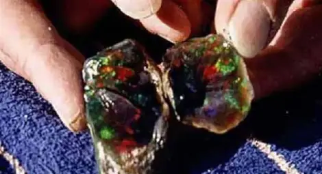 Джендем тепе: Скалата на здравето удължава живота с 10 години