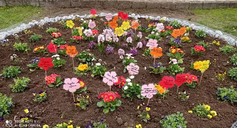 С различни инициативи отбелязват Осми март в Ценовско С различни инициативи отбелязват Осми март в Ценовско