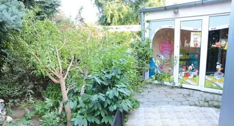 46 литра дъжд на квадрат и вятър  100 км/час съсипаха Русе за 90 минути