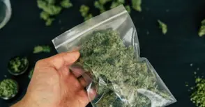 Начинаещ наркодилър се покая и се споразумя за условно наказание  