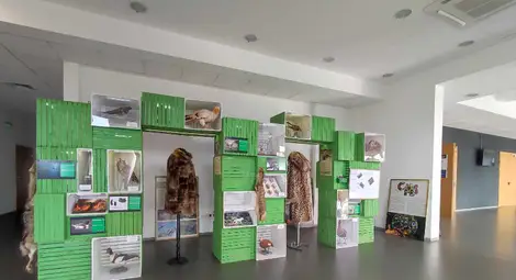 Изложба на русенския музей гостува на Софийския фестивал на науката