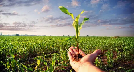 Русенският университет открива специален курс за селскостопански производители Русенският университет открива специален курс за селскостопански производители