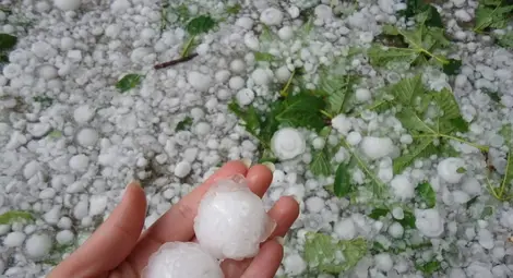 Русенските фермери остават без противоградна защита и тази година