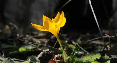 Топло време за началото на седмицата