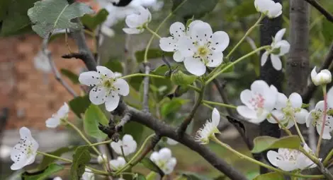 Топло и слънчево време ни чака утре
