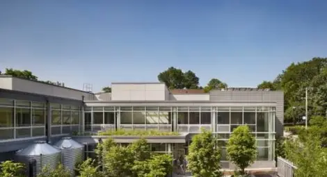 Шок в забавачка! Уволниха обичана лелка заради секс между 5-годишни