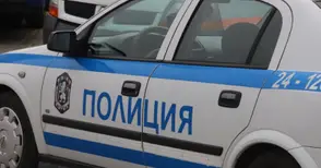 Русенска криминална хроника