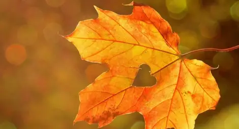 Aстрономическата есен пристига в 4.54 ч. на 23 септември