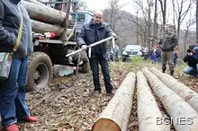 Наложиха тримесечен мораториум върху износа на дървесина