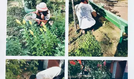 36 русенци кандидатствали по проекта &bdquo;Граждански инициативи&ldquo;, 14 одобрени