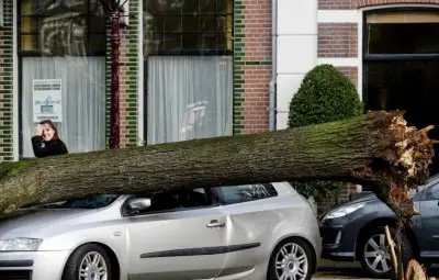 Най-малко 11 жертви на "Св. Юда"