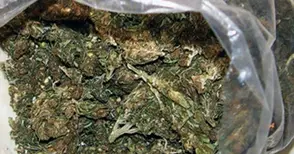 600 грама мирихуана открити при внезапна проверка в дома на дилър