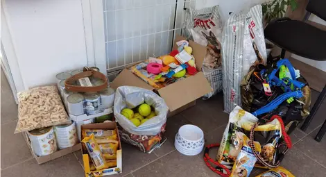 Приютът за животни в Русе - пример за грижата за безпризорни четириноги в България