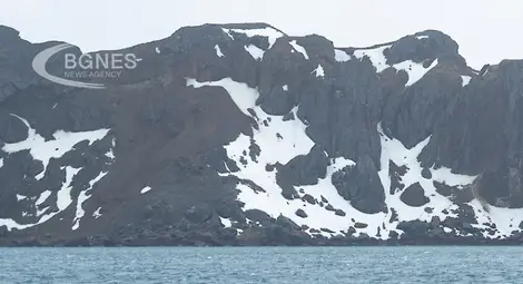 Уникална находка: На 500 метра под леда на Антарктида живеят странни риби