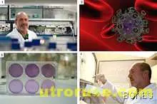  Разработиха ваксина срещу кокаинова зависимост 