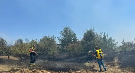 Критичната ситуация с пожара в Николово е овладяна, продължава гасенето в отделни участъци