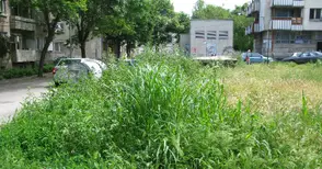 Глобиха новия „Паркстрой“ заради джунглите из Русе