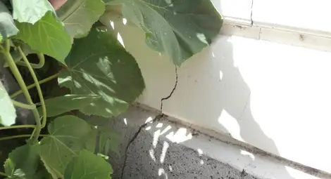 Операта получи разрешение за ремонт и стартира процедурите