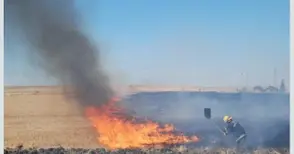 Земеделец обвинява пожарната в прикриване на палеж на стърнища