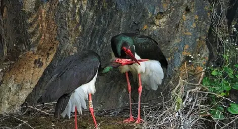 Непознатата хубост на половин час път от Русе