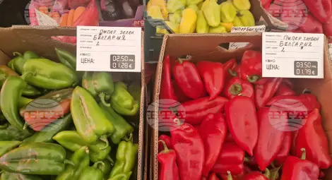 Снимка: БТА