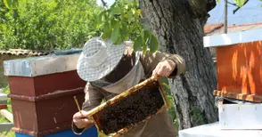 Фонд „Земеделие“ публикува първото класиране по пчеларската програма