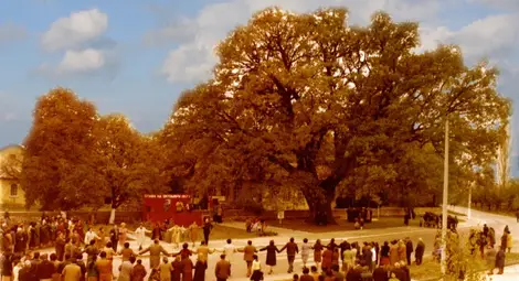 Символът на Сливен спечели титлата &bdquo;Дърво с корен 2013&ldquo;