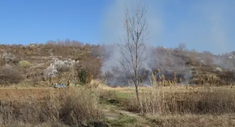 ДФ &bdquo;Земеделие&ldquo; със специален имейл за сигнали за опожаряване на стърнища