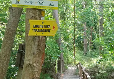 Дружество "Академик" при Русенския университет обяви дарителска кампания за достъпно Поломие