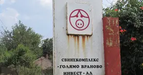 Свинекомплексите в Бръшлен и Голямо Враново започват работа най-рано след 6 месеца