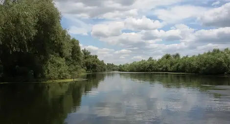 Магичният Вавилон на птици, риби и растения, където Дунав се готви да прегърне Черно море