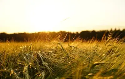 Утре ще е предимно слънчево с максимални температури между 24 и 29 градуса