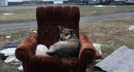 Обучават служители на МВР за зоополицаи