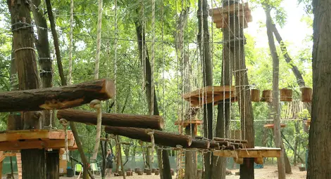 Русе търси инвеститори за изграждането на „въжен град“ на Текето Русе търси инвеститори за изграждането на „въжен град“ на Текето