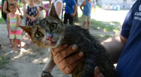 Съседи гонят клошар след пожар в превърнатия му в сметище дом