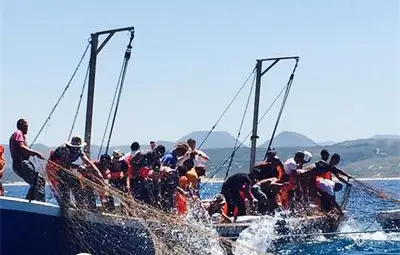 Само на Сан Пиетро в Италия остана риба тон /галерия/ Само на Сан Пиетро в Италия остана риба тон /галерия/