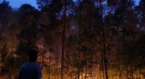 Два големи горски пожара вилнеят в Тетевенско