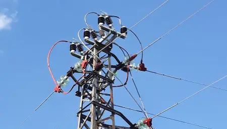 ЕРП Север стартира поставянето на изолационни материали в защита на птиците по проект &bdquo;Безопасно небе за птиците в Североизточна България&ldquo;