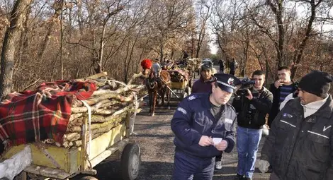 Хванат при незаконна сеч се разделя с каруцата си