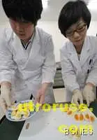 Яйчният белтък сваля кръвното налягане 