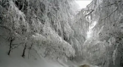 Огромна лавина затвори Петрохан